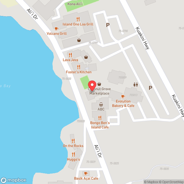 Map of Island Lava Java