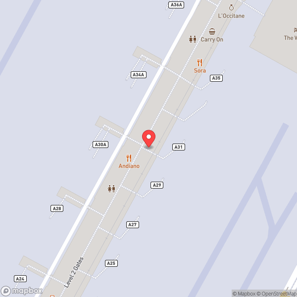 Map of Gate A31