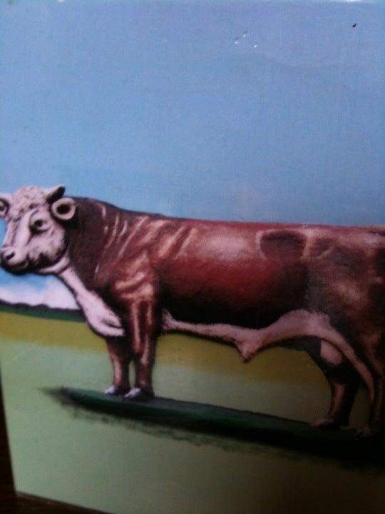 The Bull (Charles Wells)