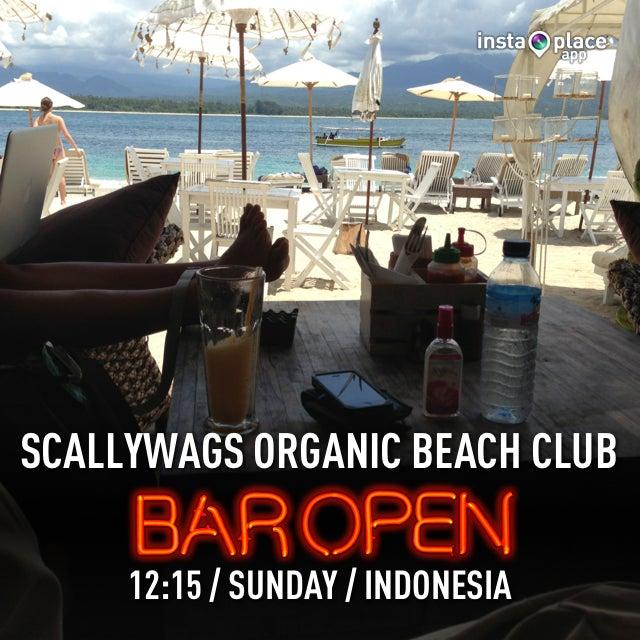 Scallywags Organic Beach Club